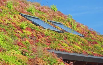 Frampton West End living roof systems